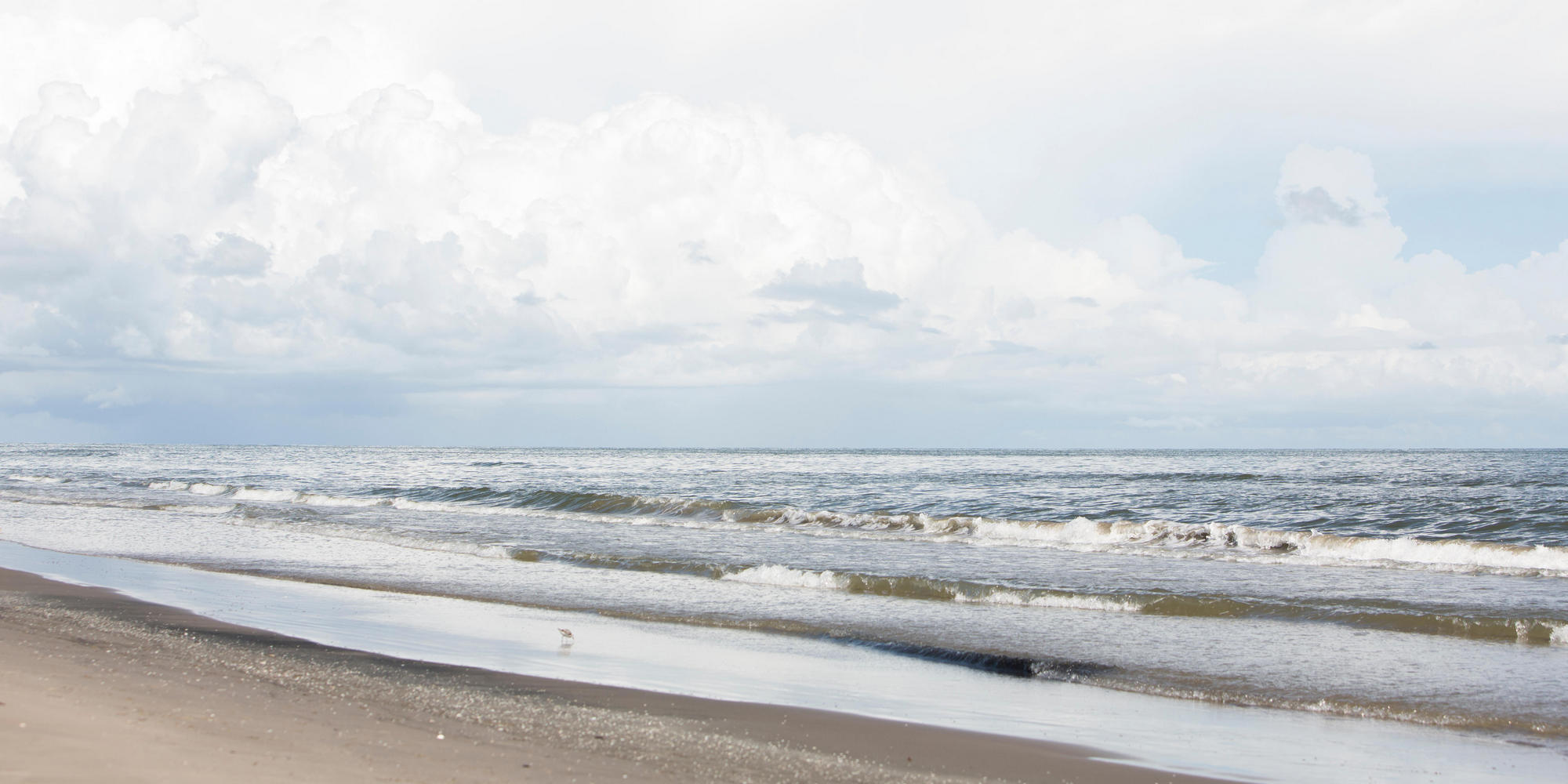 Beach at Grand Isle, Louisiana Awakening