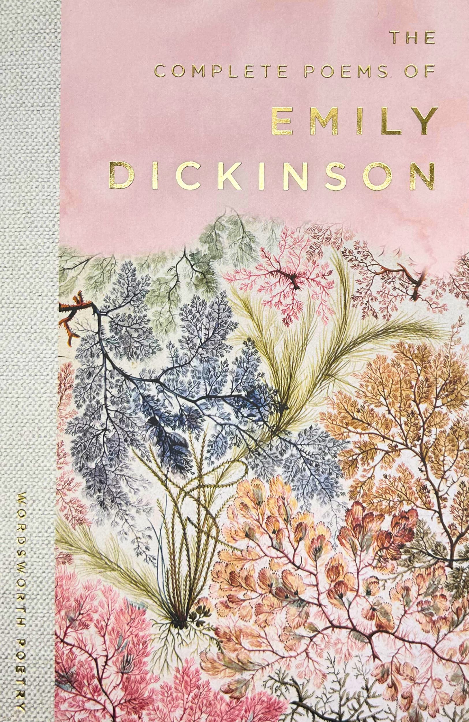 The Complete Poems of Emily Dickinson